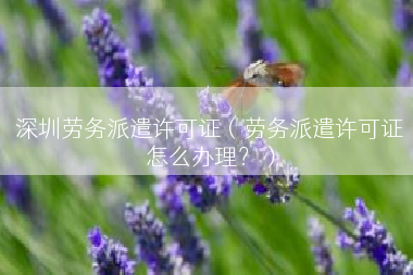 深圳劳务派遣许可证（劳务派遣许可证怎么办理？）