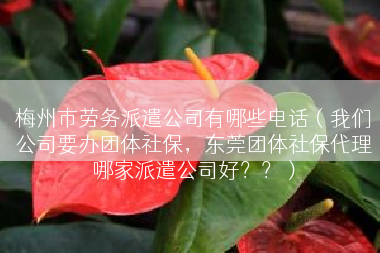 梅州市劳务派遣公司有哪些电话（我们公司要办团体社保，东莞团体社保代理哪家派遣公司好？？）