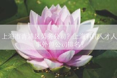 上海市青浦区劳务公司？上海有IT人才人事外包公司排名？