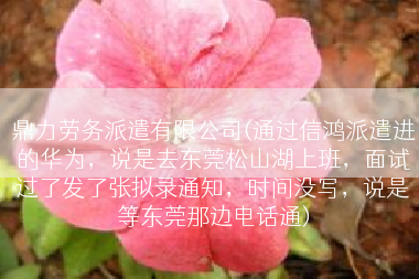 鼎力劳务派遣有限公司(通过信鸿派遣进的华为，说是去东莞松山湖上班，面试过了发了张拟录通知，时间没写，说是等东莞那边电话通)