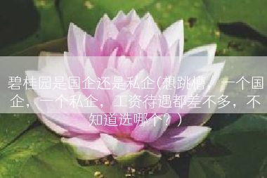 碧桂园是国企还是私企(想跳槽，一个国企，一个私企，工资待遇都差不多，不知道选哪个？)