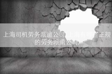 上海司机劳务派遣公司(上海有哪些正规的劳务派遣公司)