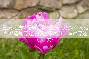 重庆飞驶特招聘官网?重庆飞驶特公司劳务派遣都要经过哪些程序啊？面试要经过几关?