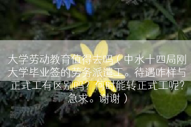 大学劳动教育值得去吗（中水十四局刚大学毕业签的劳务派遣工。待遇咋样与正式工有区别吗？何时能转正式工呢？急求。谢谢）