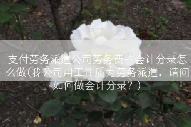 支付劳务派遣公司劳务费的会计分录怎么做(我公司用工性质为劳务派遣，请问如何做会计分录？)