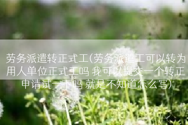 劳务派遣转正式工(劳务派遣工可以转为用人单位正式工吗 我可以提交一个转正申请试一下吗 就是不知道怎么写)