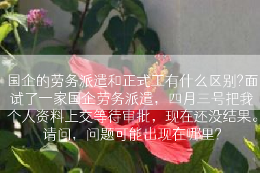 国企的劳务派遣和正式工有什么区别?面试了一家国企劳务派遣，四月三号把我个人资料上交等待审批，现在还没结果。请问，问题可能出现在哪里?