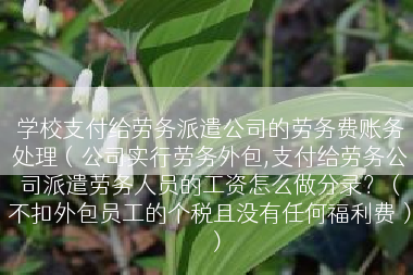 学校支付给劳务派遣公司的劳务费账务处理（公司实行劳务外包,支付给劳务公司派遣劳务人员的工资怎么做分录？（不扣外包员工的个税且没有任何福利费））