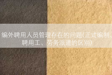 编外聘用人员管理存在的问题(正式编制、聘用工、劳务派遣的区别)