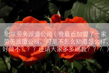北京劳务派遣公司（我最近加盟了一家劳务派遣公司，可是不怎么知道怎么样，好做不？？？还请大家多多赐教？？？）
