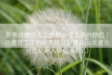 劳务派遣员工工伤都由哪方承担赔偿（派遣员工工伤的费用及护理应由派遣公司还是用人单位承担?）