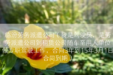 临汾劳务派遣公司（我是驾驶员，是劳务派遣公司到租赁公司随车至用人单位做专职驾驶工作，合同3年到15年3月1日合同到期）