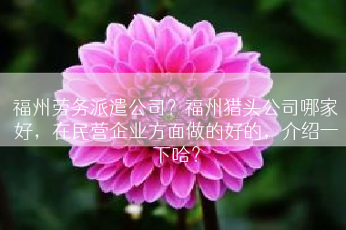 福州劳务派遣公司？福州猎头公司哪家好，在民营企业方面做的好的，介绍一下哈？