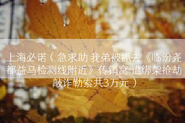 上海必诺（急求助 我弟被抓去《临汾尧都益马检测线附近》传销窝 遭绑架抢劫敲诈勒索共3万元）