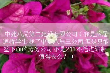 中建八局第二建设有限公司（我是应届道桥学生 找了中建八局三公司 但是只能签下面的劳务公司 不是211不给进编制 值得去么？）