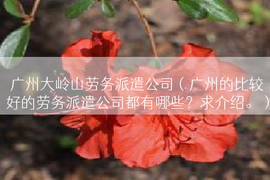 广州大岭山劳务派遣公司（广州的比较好的劳务派遣公司都有哪些？求介绍。）