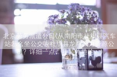 北京劳务派遣公司(从南阳市社旗县汽车站怎么坐公交去社旗县龙翔人力资源公司？详细一点，我是外地的。)