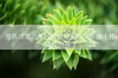 劳务派遣三年经营情况报告文字版（格式及内容）