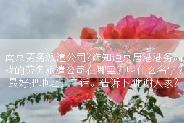 南京劳务派遣公司?谁知道京唐港港务局找的劳务派遣公司在哪里？叫什么名字？最好把地址。电话。告诉下 谢谢大家?