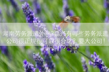 湖南劳务派遣外包?嘉兴有哪些劳务派遣公司很正规很可靠很合法？要大公司！谢谢！?