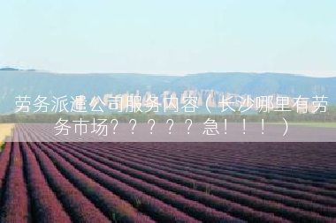 劳务派遣公司服务内容（长沙哪里有劳务市场？？？？？急！！！）