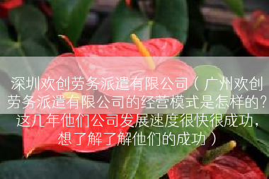 深圳欢创劳务派遣有限公司（广州欢创劳务派遣有限公司的经营模式是怎样的？这几年他们公司发展速度很快很成功，想了解了解他们的成功）
