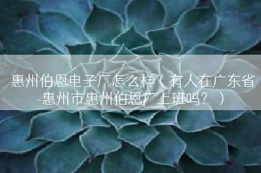 惠州伯恩电子厂怎么样（有人在广东省惠州市惠州伯恩厂上班吗？）