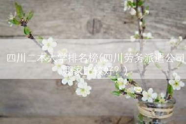 四川二本大学排名榜(四川劳务派遣公司哪家比较好？)