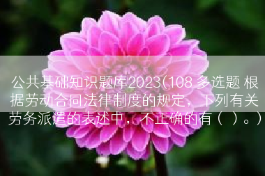 公共基础知识题库2023(108 多选题 根据劳动合同法律制度的规定，下列有关劳务派遣的表述中，不正确的有（）。)