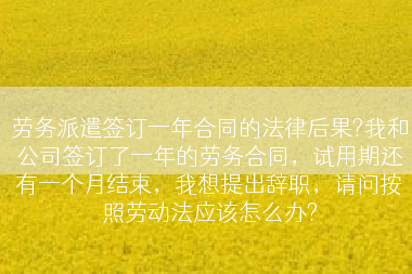 劳务派遣签订一年合同的法律后果?我和公司签订了一年的劳务合同，试用期还有一个月结束，我想提出辞职，请问按照劳动法应该怎么办?