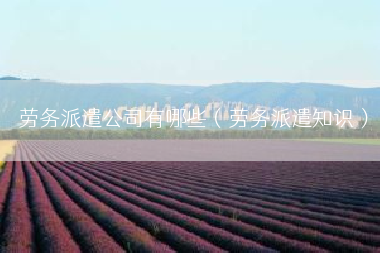 劳务派遣公司有哪些（劳务派遣知识）