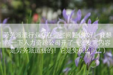 劳务派遣行业存在哪些问题(你好！我想问一下人力资源公司开了一张发票内容是劳务派遣费的！它是免税的吗？)