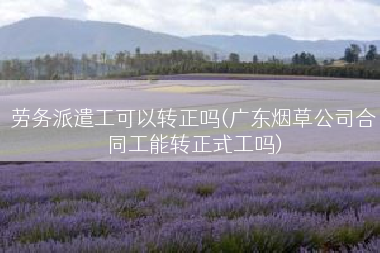 劳务派遣工可以转正吗(广东烟草公司合同工能转正式工吗)