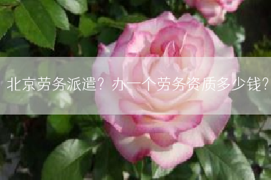 北京劳务派遣？办一个劳务资质多少钱？