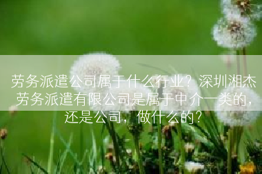 劳务派遣公司属于什么行业？深圳湘杰劳务派遣有限公司是属于中介一类的，还是公司，做什么的？