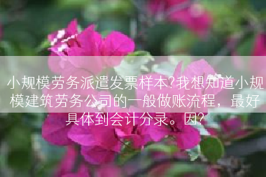 小规模劳务派遣发票样本?我想知道小规模建筑劳务公司的一般做账流程，最好具体到会计分录。因?
