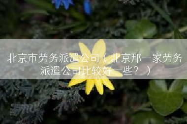 北京市劳务派遣公司（北京那一家劳务派遣公司比较好一些？）