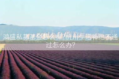 鸿盛私募基金怎么样?杭州生活补贴不通过怎么办?