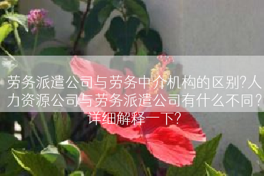 劳务派遣公司与劳务中介机构的区别?人力资源公司与劳务派遣公司有什么不同？详细解释一下?
