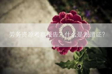 劳务资源考察报告？什么是派遣证？