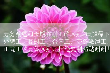 劳务派遣和长期临时工的区别?请解释下外聘工，临时工，合同工，劳务派遣工，正式工的具体区别，拒绝复制粘贴谢谢！！?