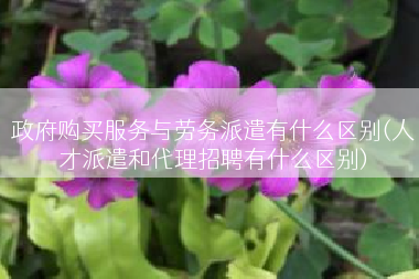 政府购买服务与劳务派遣有什么区别(人才派遣和代理招聘有什么区别)
