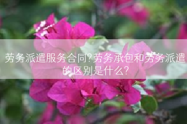 劳务派遣服务合同?劳务承包和劳务派遣的区别是什么?