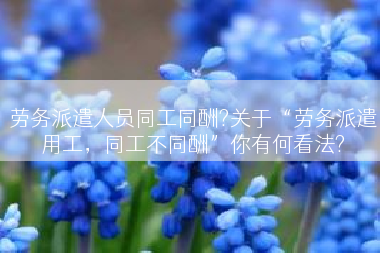 劳务派遣人员同工同酬?关于“劳务派遣用工,同工不同酬”你有何看法? 劳务派遣人员同工同酬?关于“劳务派遣用工,同工不同酬”你有何看法?