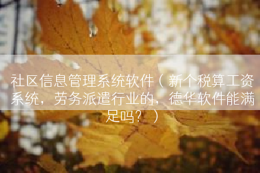 社区信息管理系统软件（新个税算工资系统，劳务派遣行业的，德华软件能满足吗？）