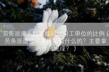 劳务派遣人数不能超过用工单位的比例（劳务派遣公司客服是做什么的？主要拿的什么提成？）