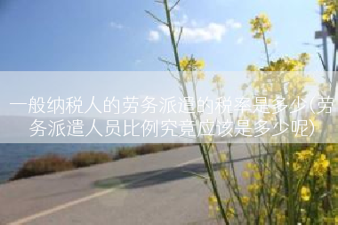 一般纳税人的劳务派遣的税率是多少(劳务派遣人员比例究竟应该是多少呢)