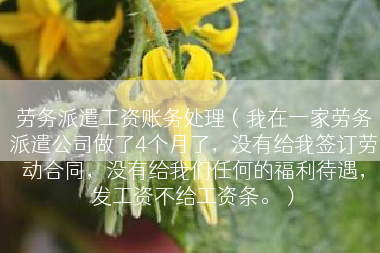 劳务派遣工资账务处理（我在一家劳务派遣公司做了4个月了，没有给我签订劳动合同，没有给我们任何的福利待遇，发工资不给工资条。）