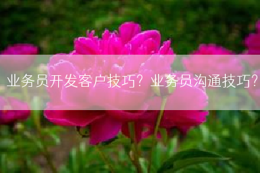 业务员开发客户技巧？业务员沟通技巧？