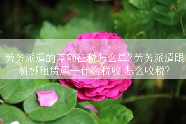 劳务派遣的差额征税怎么算?劳务派遣跟机械租赁属于什么税收 怎么收税?